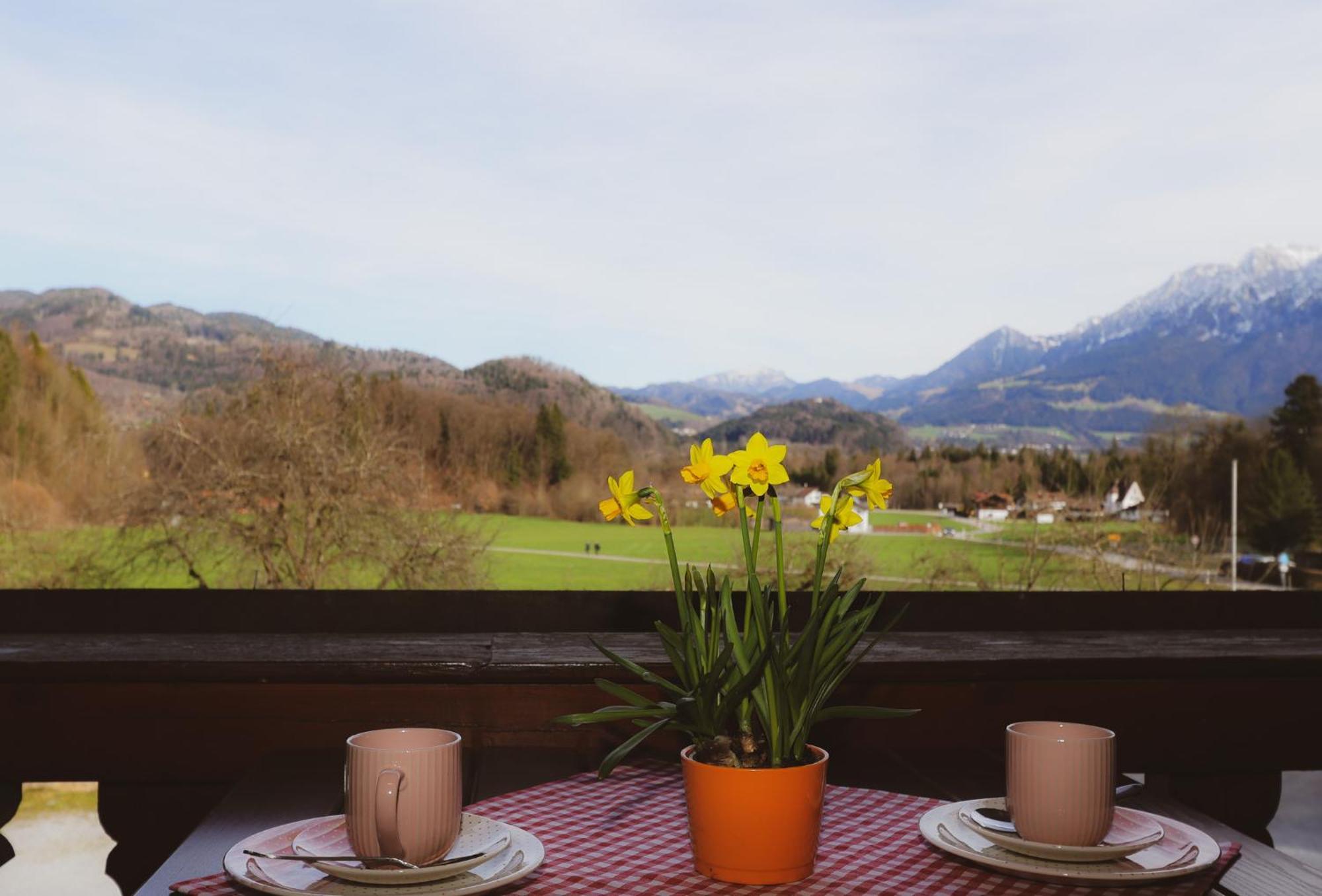 „zum Bauern“ Apartment Oberaudorf