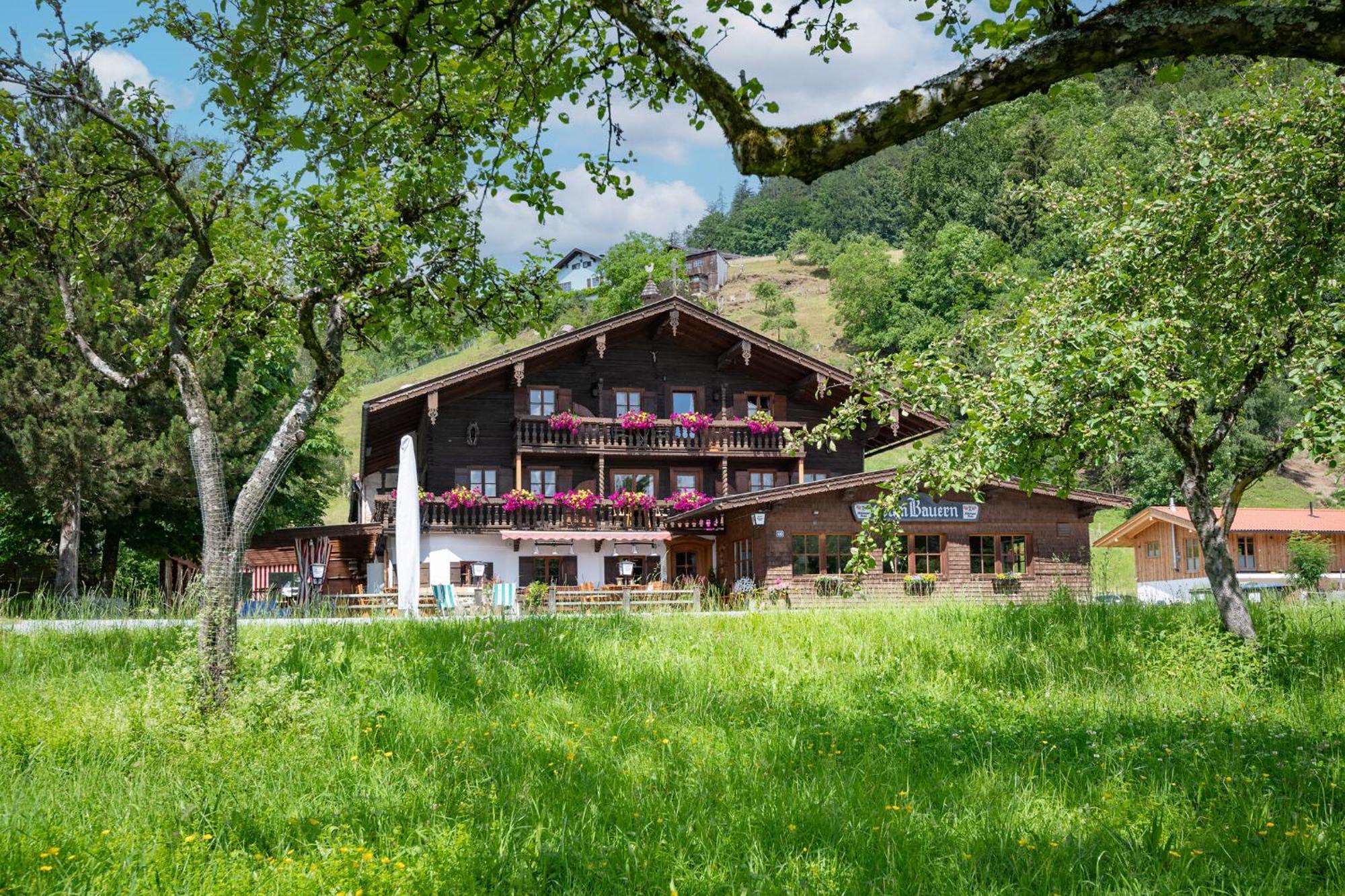 „zum Bauern“ Apartment *
